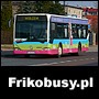 Frikobusy